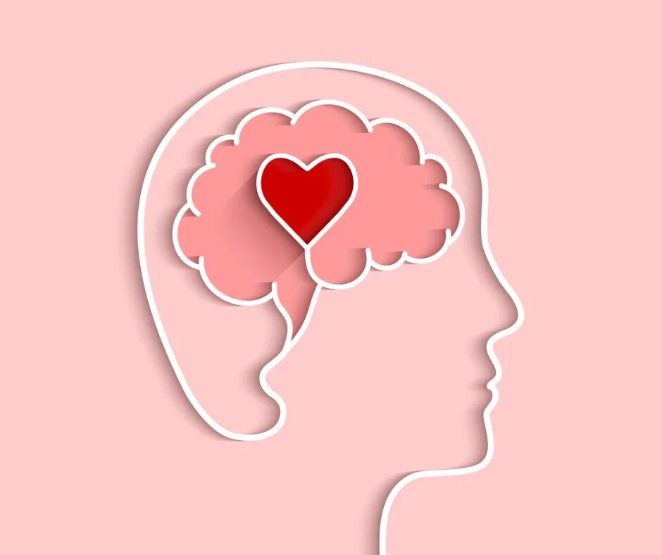 Heart and brain