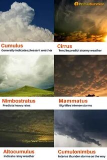 Predict weather
