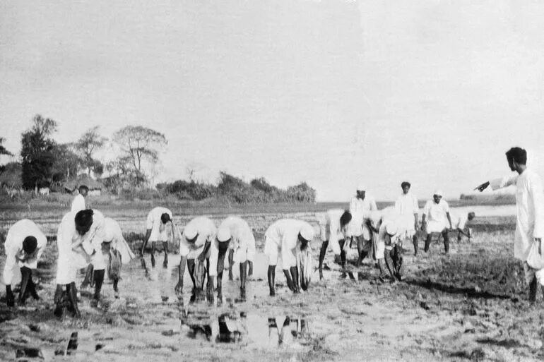 Соляной поход в индии. Махатма ганди сатьяграха. Соляной поход в индии. Соляной поход в индии. Соляной поход в индии.