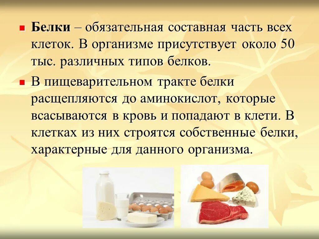 Почему мясо должно присутствовать в рационе. Белки в организме. Чем полезен белок. Белок нужен организму. Для чего нужен белок в организме человека.