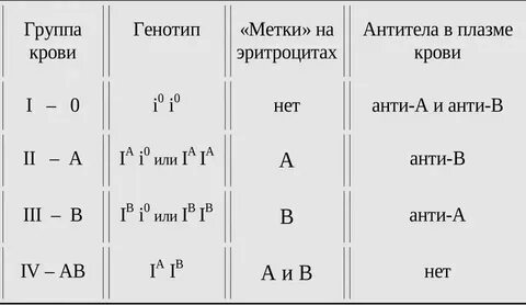 Случайное изменение генотипа это