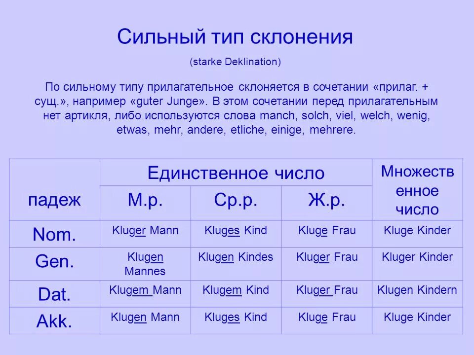 Слова для проверки склонения имен существительных