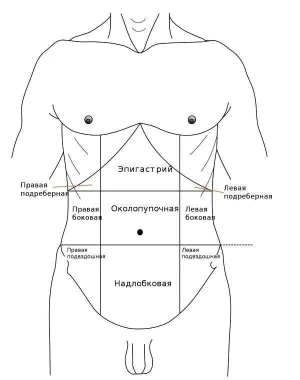 Эпигастрия. Боль в области эпигастрия. Эпигастрий расположение. Что слева под ребрами. Эпигастрии справа