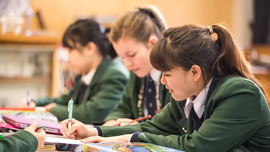 Начальная школа.. Школьное образование в Канаде. Primary School in New Zealand. Школьное образование в Венесуэле. Type school in russia