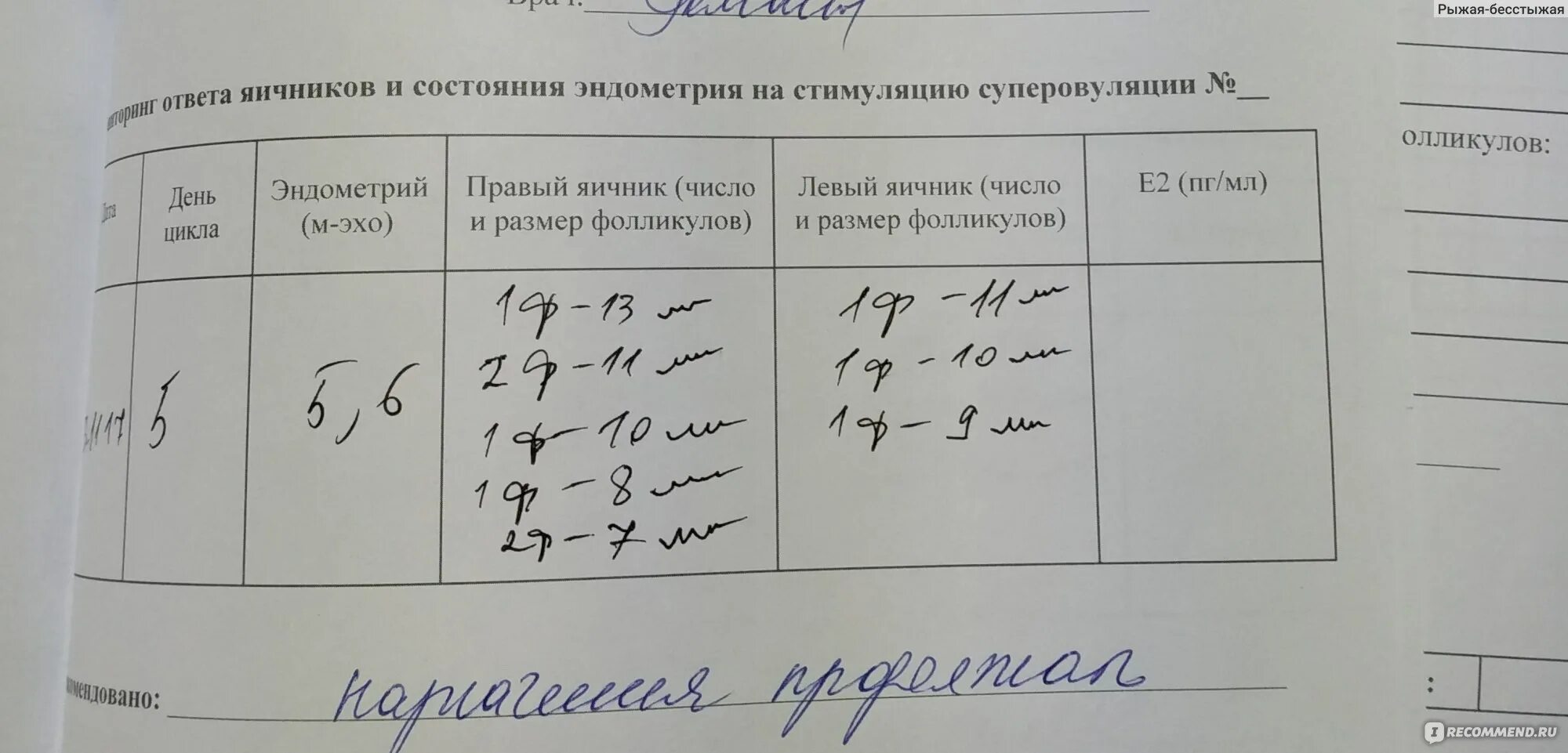 Цикл при стимуляции. Размер фолликулов по дням стимуляции эко. размеры фолликулов по дням цикла при стимуляции. размер фолликулов при стимуляции эко. рост фолликула по дням цикла таблица.
