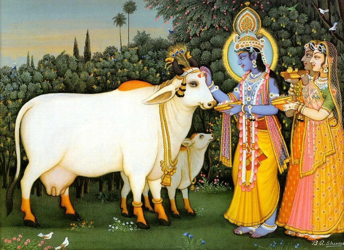 Корова в древности. Корова Священное животное в Индии. Древняя Индия Священная корова. Священные животные Индии в древности. Индуизм корова.