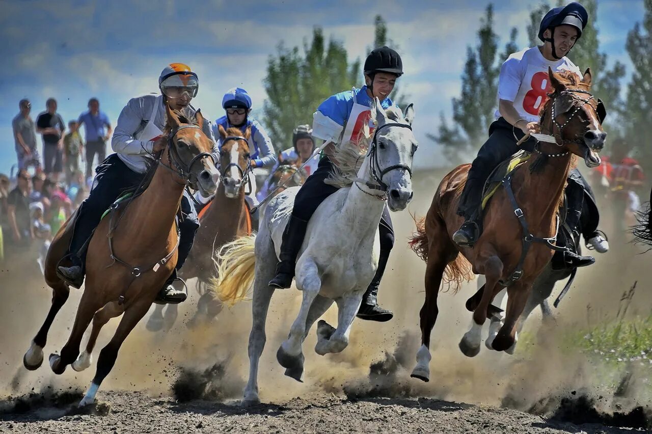 Скачка видео. Хорс рейсинг. Лошади на ипподроме. Скачка видео. Хорс рейсинг.