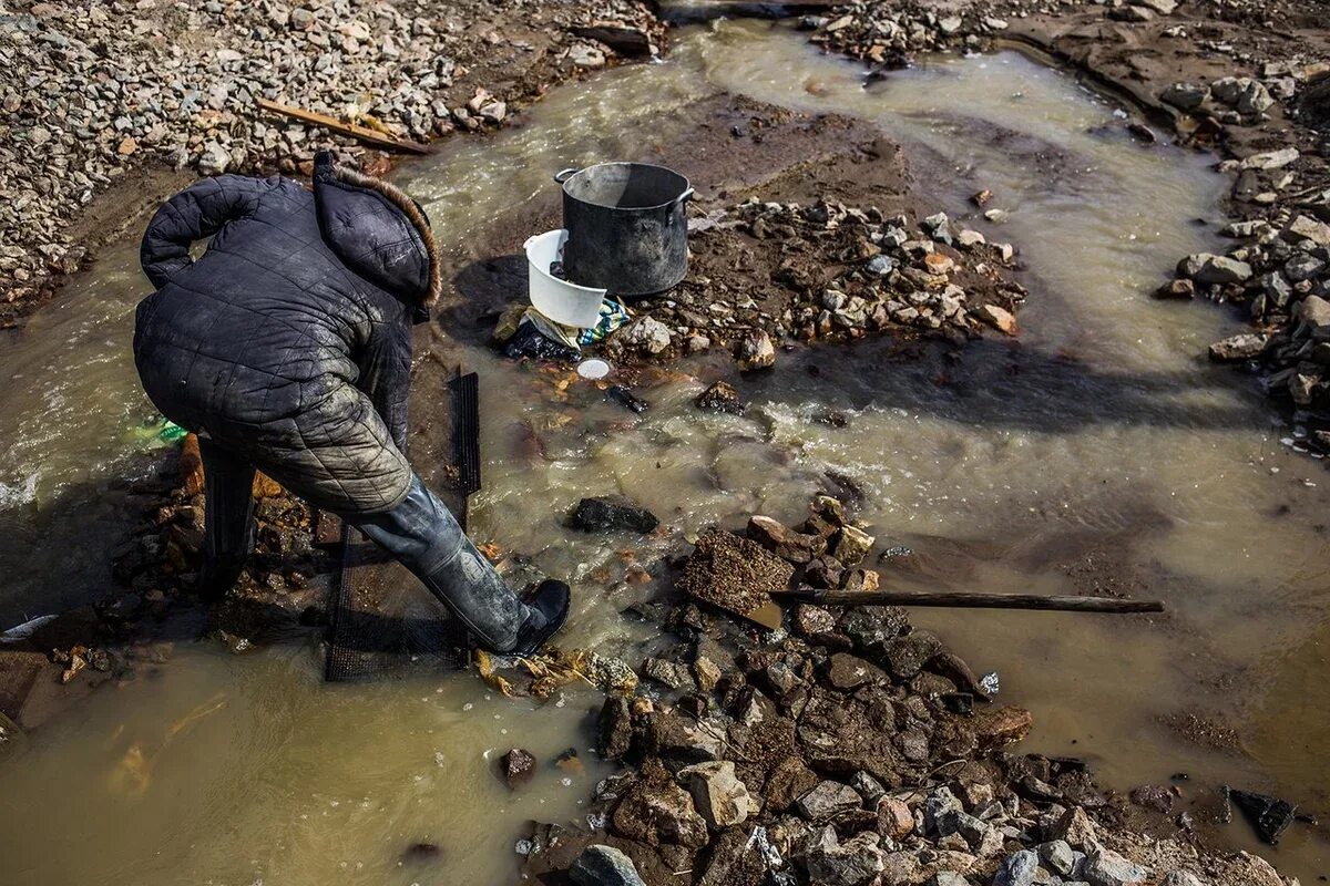 незаконная добыча золота. старатели золотодобытчики. промывка золота. золотые самородки россыпное золото. незаконная добыча золота.