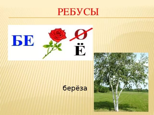 Ребус дерево. Ребусы про растения. Ребусы про растения с ответами. Ребус береза. Ребус среда