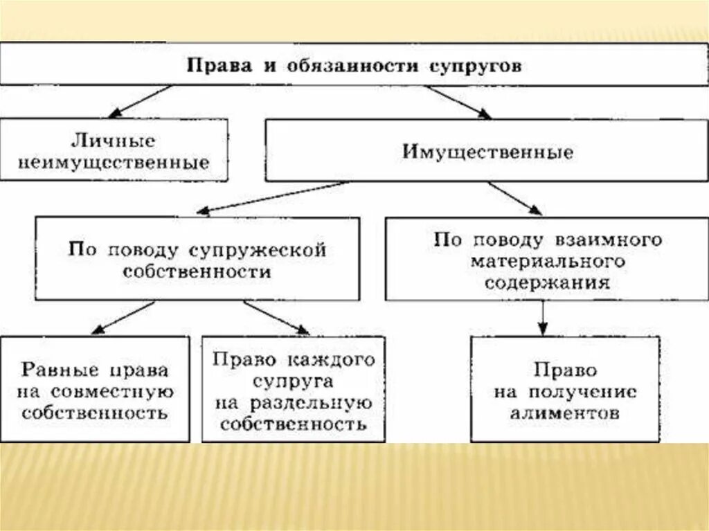 Схема прав и обязанностей супругов.