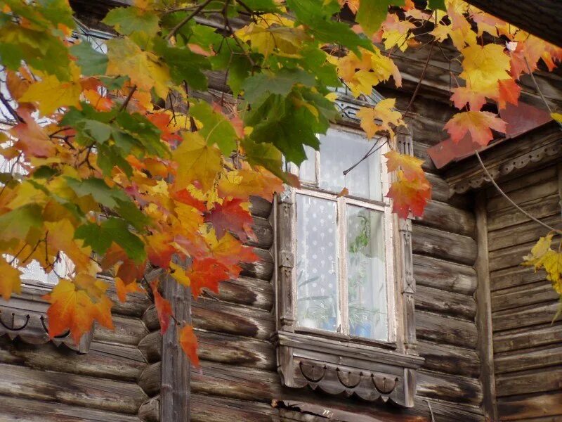 Вечерние районы дурдом осень бьется в окно. Окно осень. осень из окна. осень за окном. вид из окна осень.