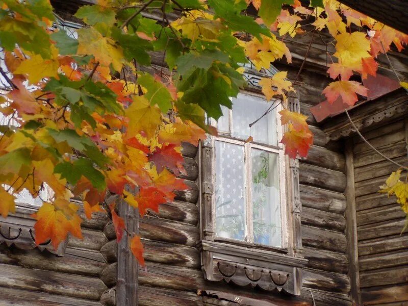 Осенний стучать. Окно осень. Осень из окна. Осень за окном. Вид из окна осень.