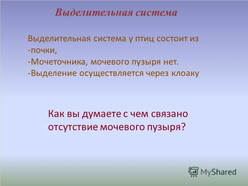 Черты птиц связанные с полетом. Выделительная система функциональная приспособленность к полету. Приспособленность птиц к полету. Приспособленность птиц к полету во внешнем строении. Особенности строения птиц черты приспособленности к полету