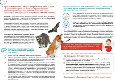 Уколы от бешенства ребенку