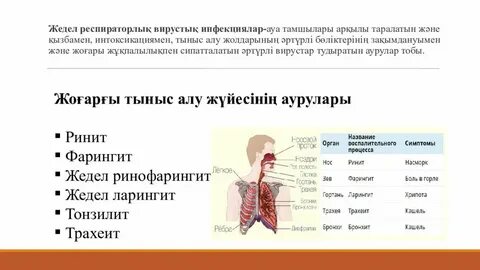 Менің қызметшім Цундере, жапон дауысы бар сексуалды