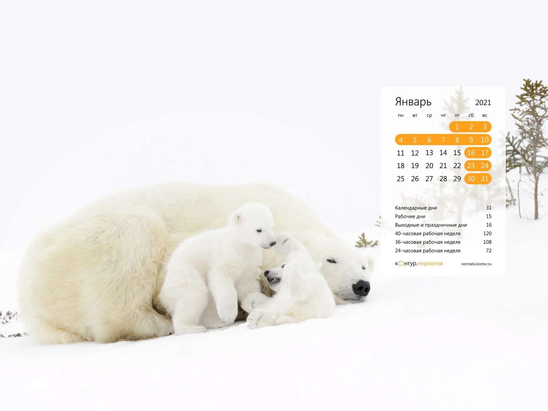 контур норматив календарь. коммерческое предложение контур норматив. контур норматив. календарь январь на рабочий стол. производственный календарь на рабочий стол.
