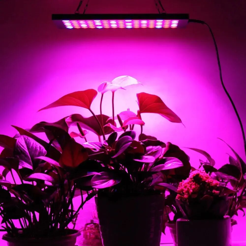 Фитолампа led grow Light. Фитолампа grow Light 40 Вт. Светодиодная лампа для растений ALIEXPRESS led grow Light. Фитолампа user manual led grow Light. Led plant lights