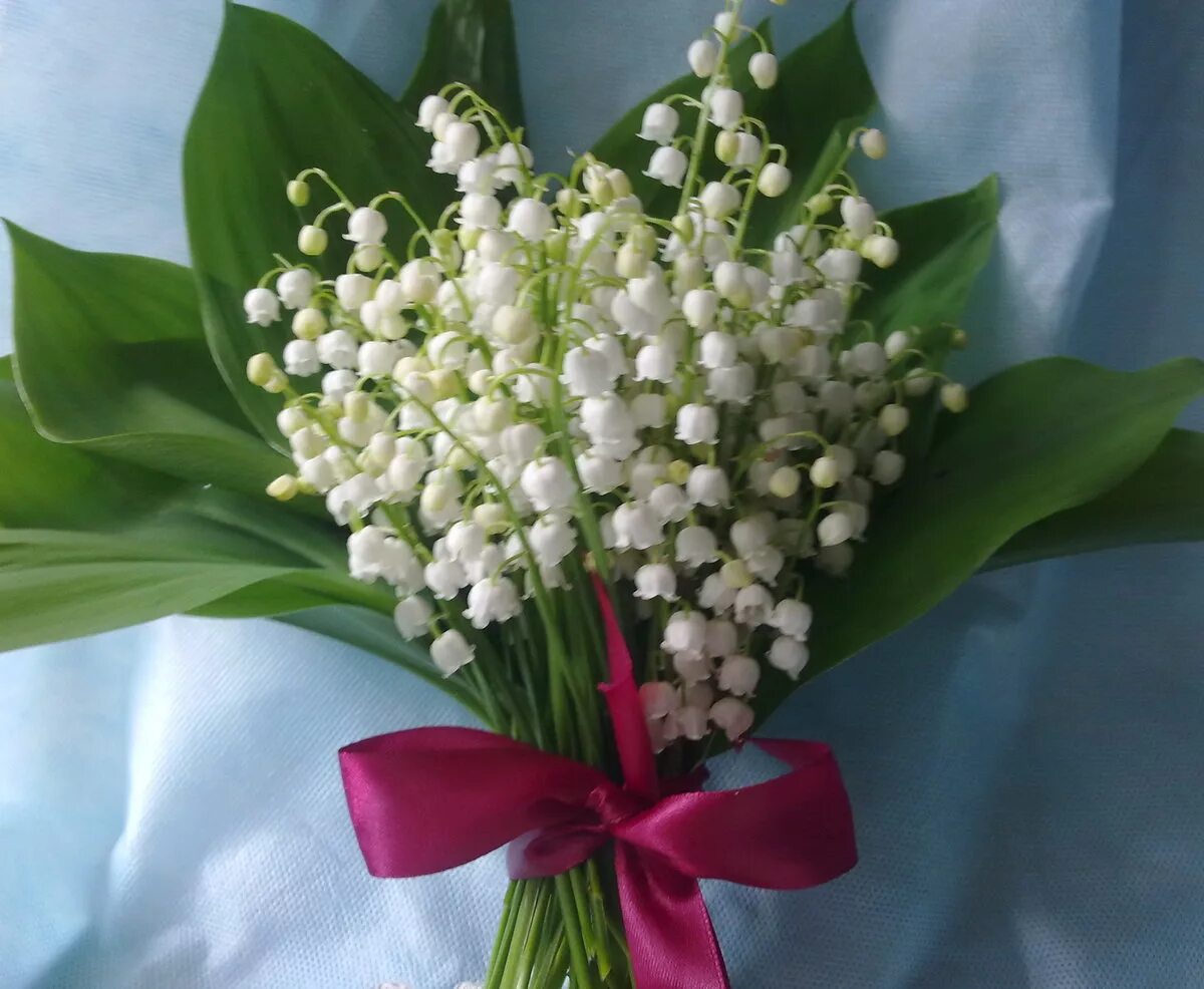 star gazer lilly with babies breath bridal bouquets FLORAL NEWS GA: OOOOOh Bab. 