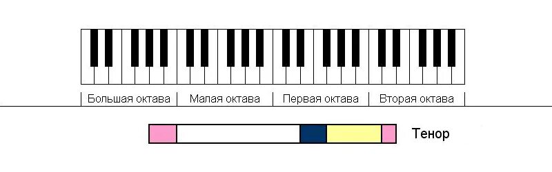 Октава голоса певца. Баритон тенор диапазоны. Диапазоны голоса тенор баритон. Бас баритон тенор диапазон. Тенор диапазон октав.