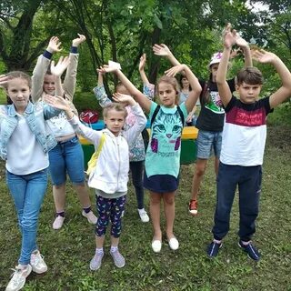 Год без лета 2019