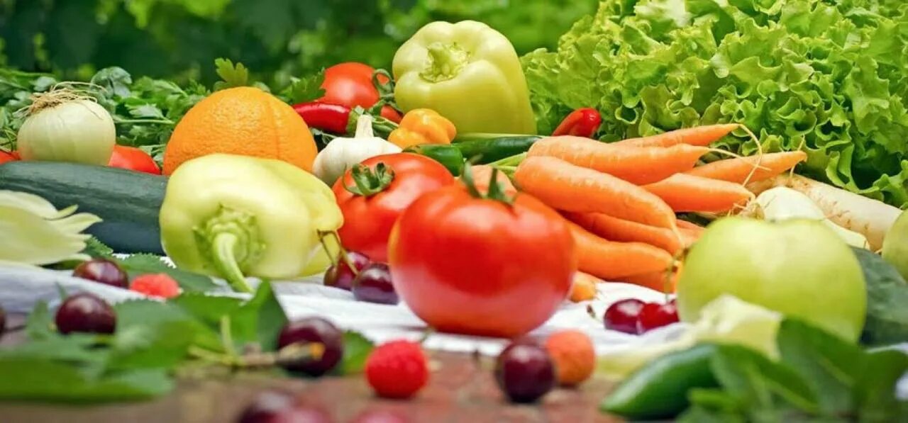 Экологический чистый продукт. Органическая продукция сельского хозяйства. Органические продукты. Фото органических продуктов. Органическое земледелие в сельском хозяйстве.