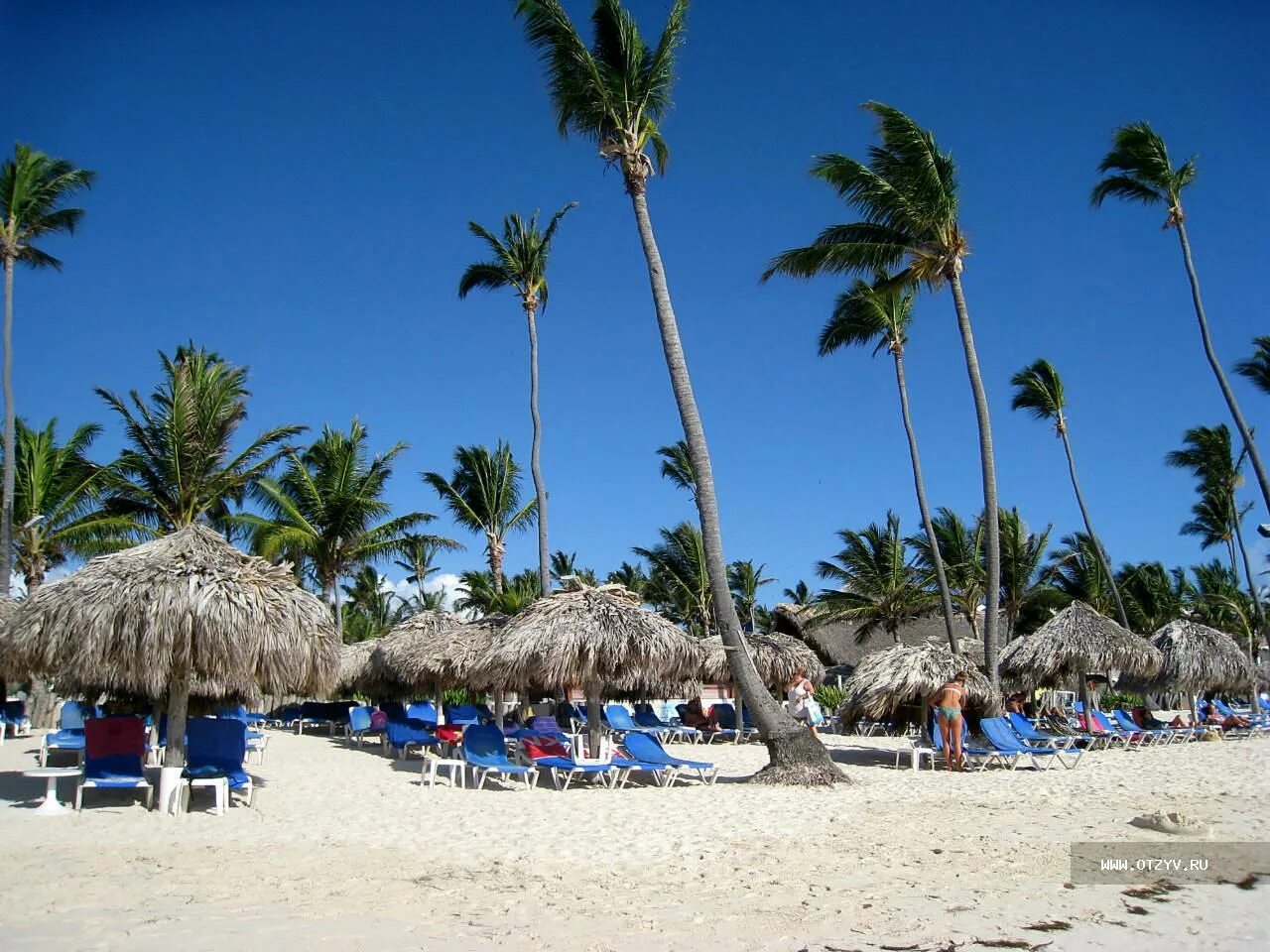 Vik arena blanca 4*. Riu naiboa 4 ****, доминиканская республика, пунта кана. Отель арена бланка доминикана. Оксидентал доминикана. Оксиденталь пунта кана 4.