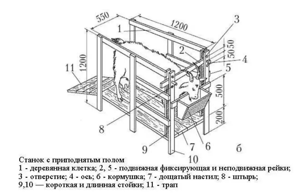 Дойки ком в каком году закрыли сайт. Станок для дойных коз чертежи. Размеры станка для доения коз. Станок для доения коз с размерами чертеж. Схема доильного станка для коз.