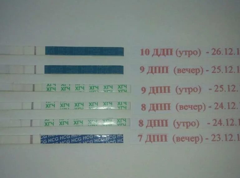 Тест на беременность после переноса форум. Тесты после криопереноса. Тесты после переноса. 7 День после переноса. Тянет живот после переноса.