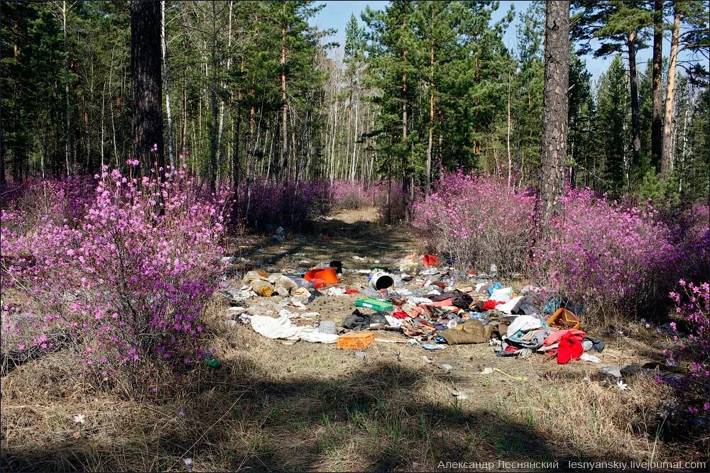 забайкальский край. пожар фото. карта промышленности забайкалья. выходные в забайкальском крае. красоты забайкалья.