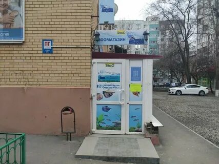 Зоомагазин акула