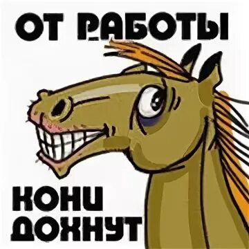 Работа кони а я пони