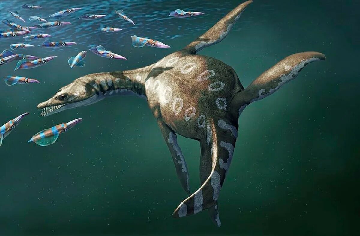 Плезиозавр Юрского периода. Ихтиозавры Юрского периода. Ихтиозавры Триасового периода. Нотозавр Триасового периода. Палеозавр