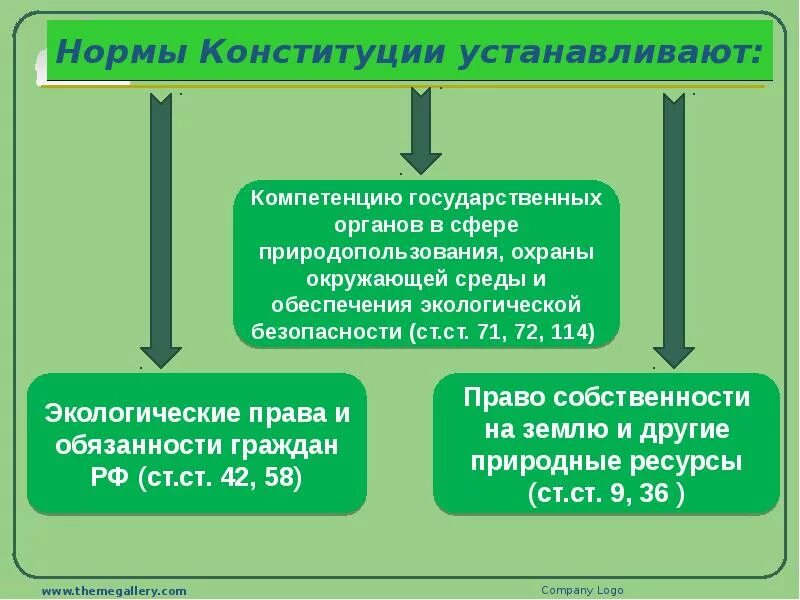 Процессуальная норма конституции рф. Нормы Конституции. Нормы Конституции РФ.