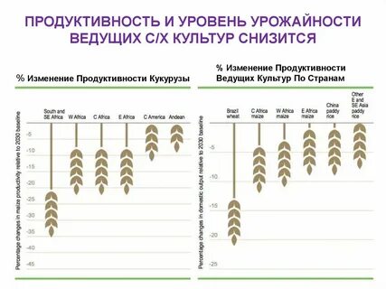 Уровнем продуктивности