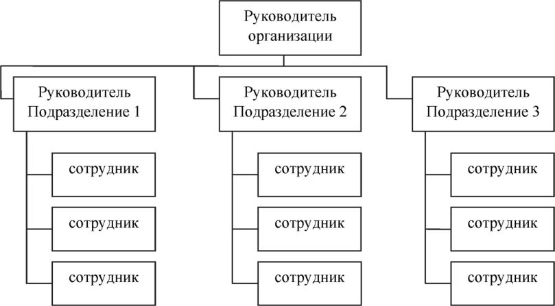 Структура предприятий и их функции. Функции юридического лица.