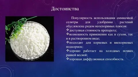 Селитра состав в процентах