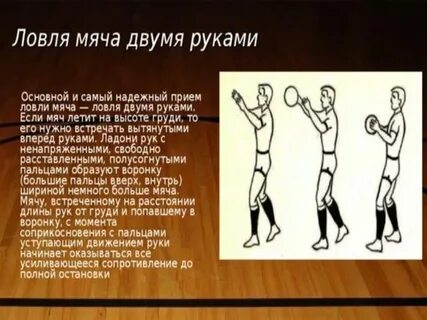 Как подразделяется ловля мяча в баскетболе