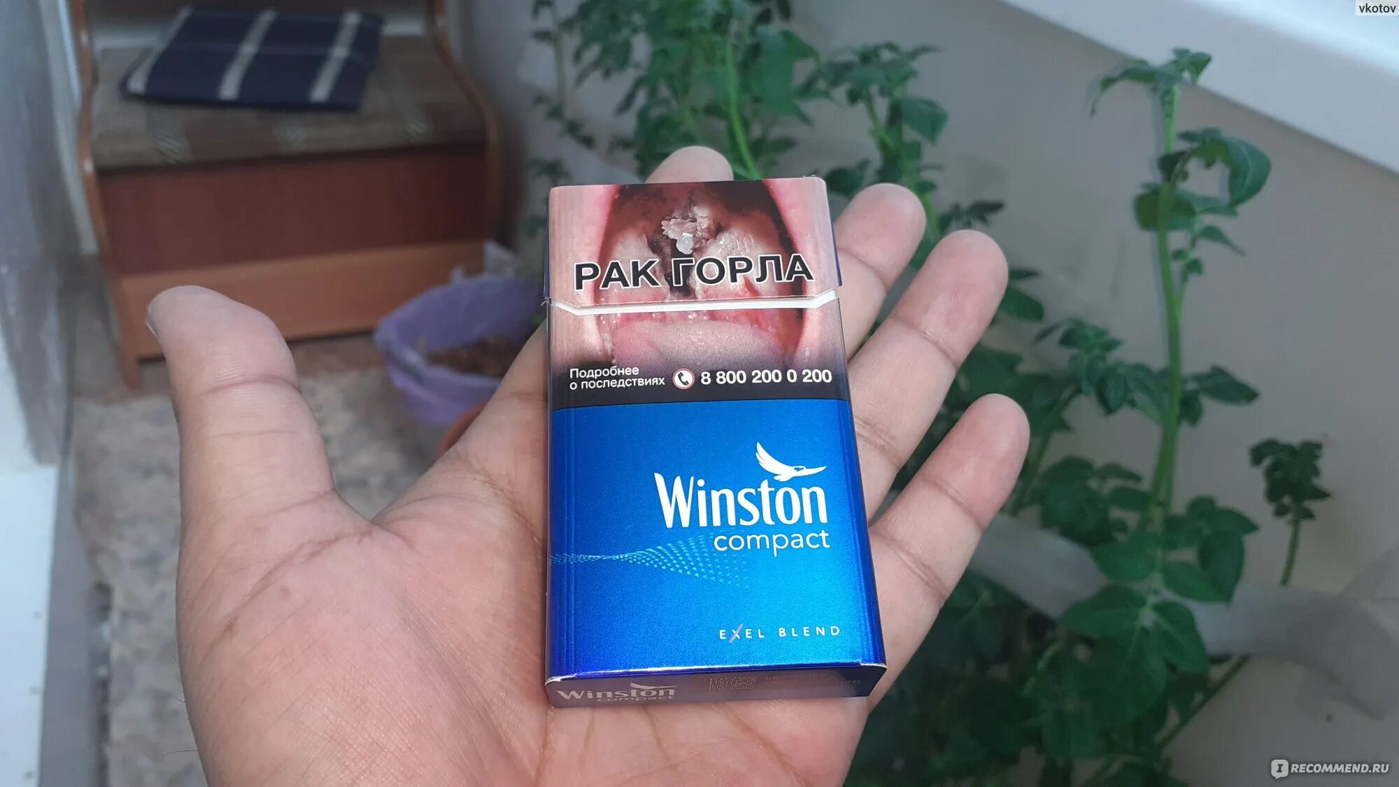 Winston XS Compact Plus Blue 100. Сигареты Winston Compact Plus. Сигареты Винстон компакт плюс Блю. Сигареты Винстон Блю Winston Blue.