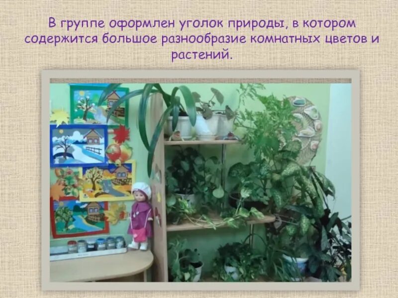 Уголок природы задачи. Уголок природы. Цветы для старшей группы в уголке природы. Комнатные растения в уголке природы. Растения в детском саду в уголке природы.