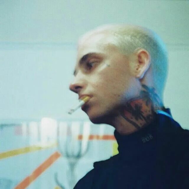 Blackbear фото. Blackbear me. Blackbear на аву. Blackbear me. Black bear певец.
