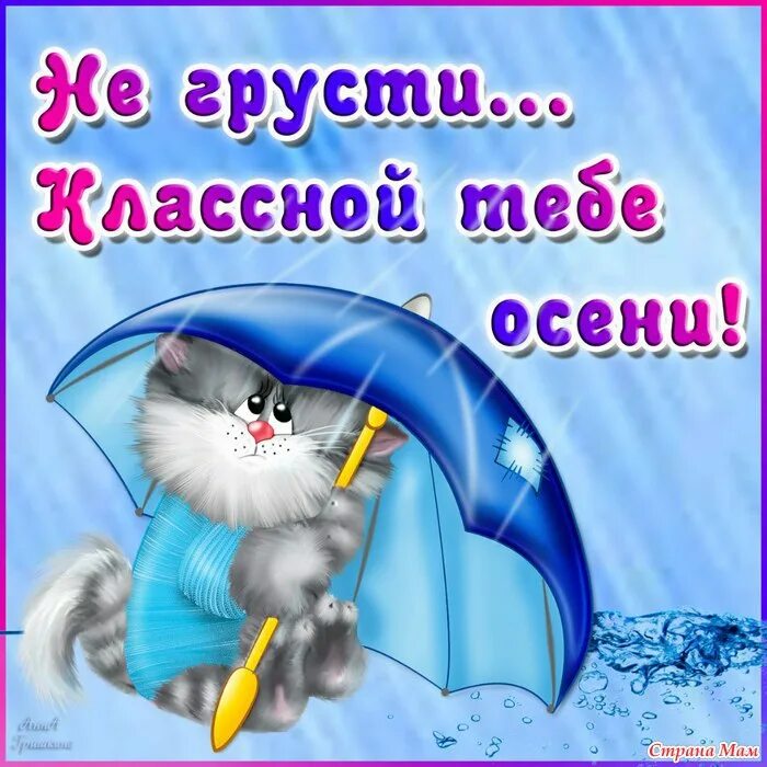Не грусти картинки для настроения. Открытка не грустите. Пожелания не грустить. Не надо грустить открытки. Не грусти картинки