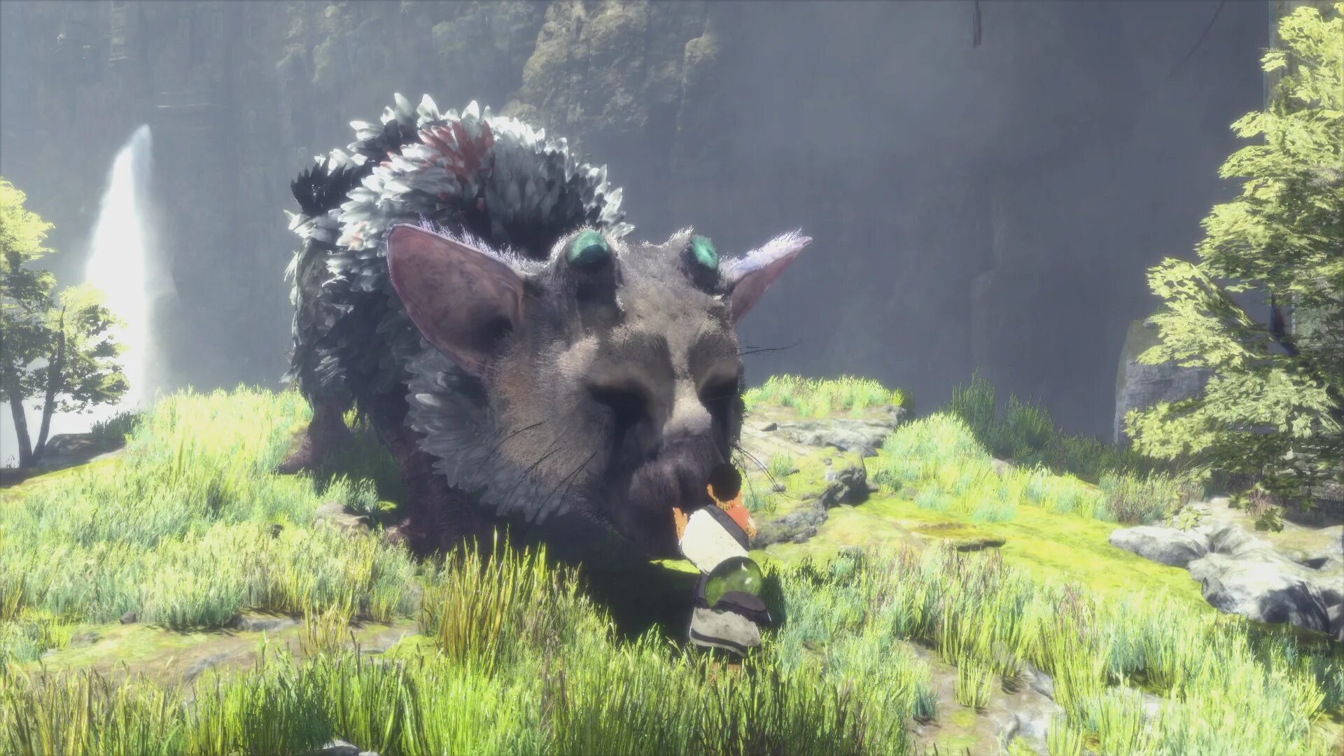 Зе ласт гардиан. Трику the last Guardian. The last Guardian ps4. Трико the last Guardian. Трико зверь the last Guardian.