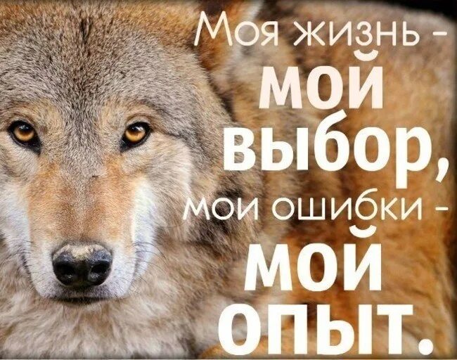 Все мои ошибки. Моя жизнь мои ошибки. моя жизнь мой выбор мои ошибки мои уроки. это мой выбор цитаты. моя жизнь мой выбор мои ошибки мои уроки не ваше дело.