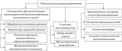 Международные денежные системы
