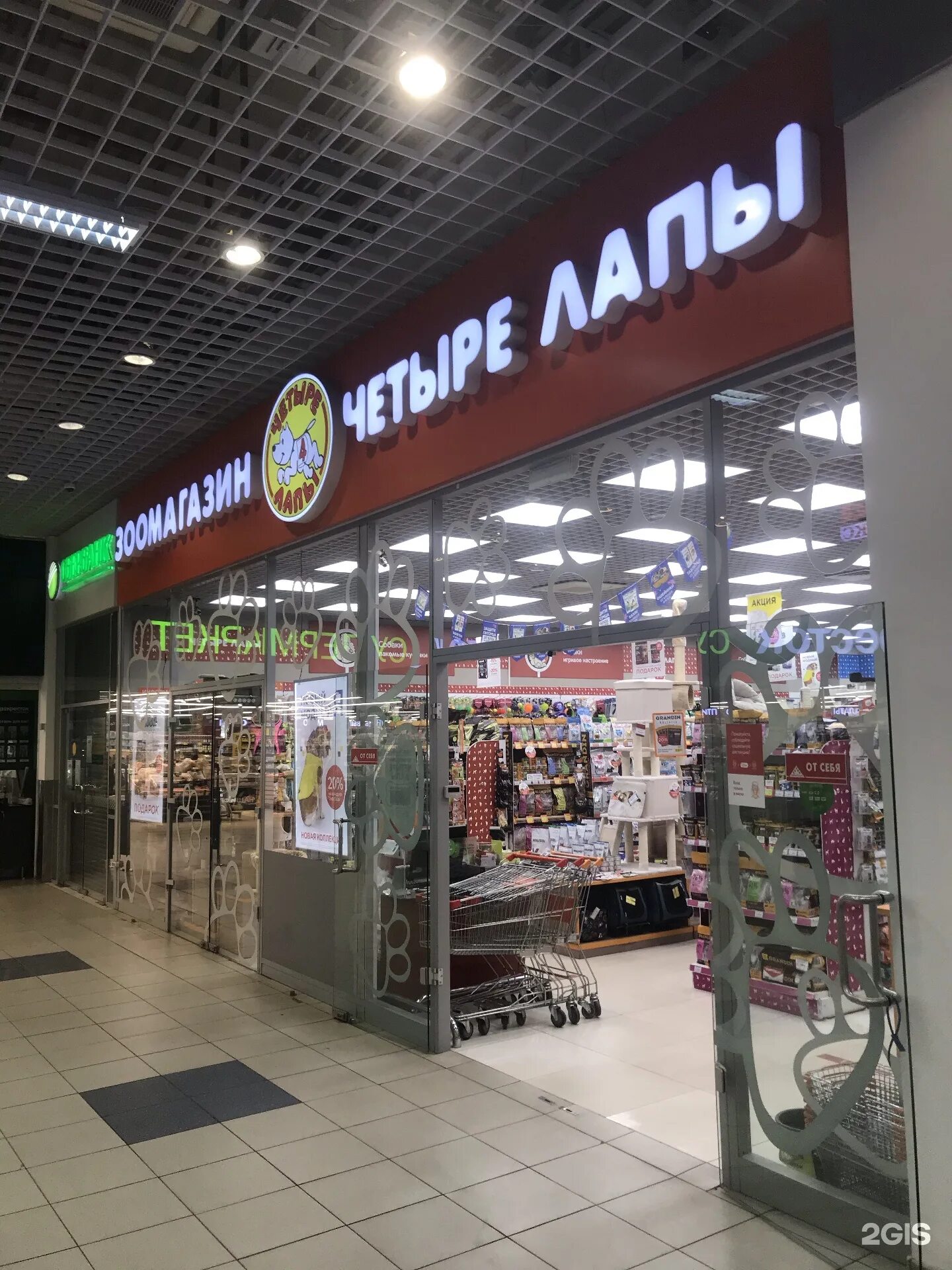 четыре лапы воронеж. магазин 4 лапы воронеж. магазин 4 лапы воронеж каталог. четыре лапы воронеж каталог. град 4 лапы воронеж.