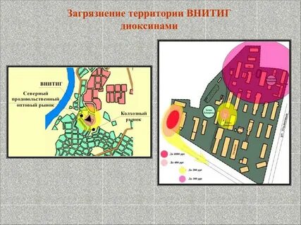 Карта базаров