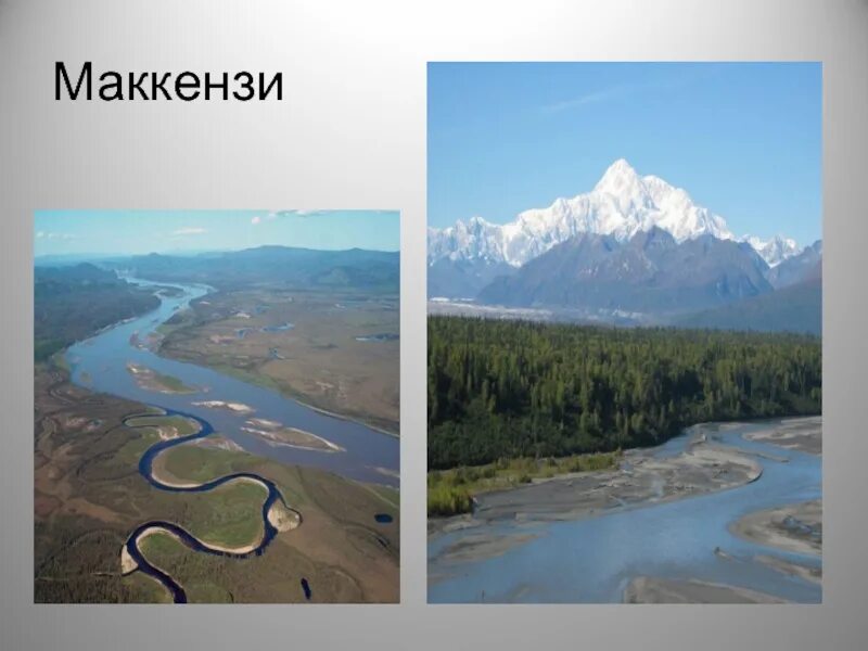 В какой океан впадает река юкон. Река Маккензи. Маккензи Северная Америка. Река Маккензи материк. Бассейн реки Маккензи.