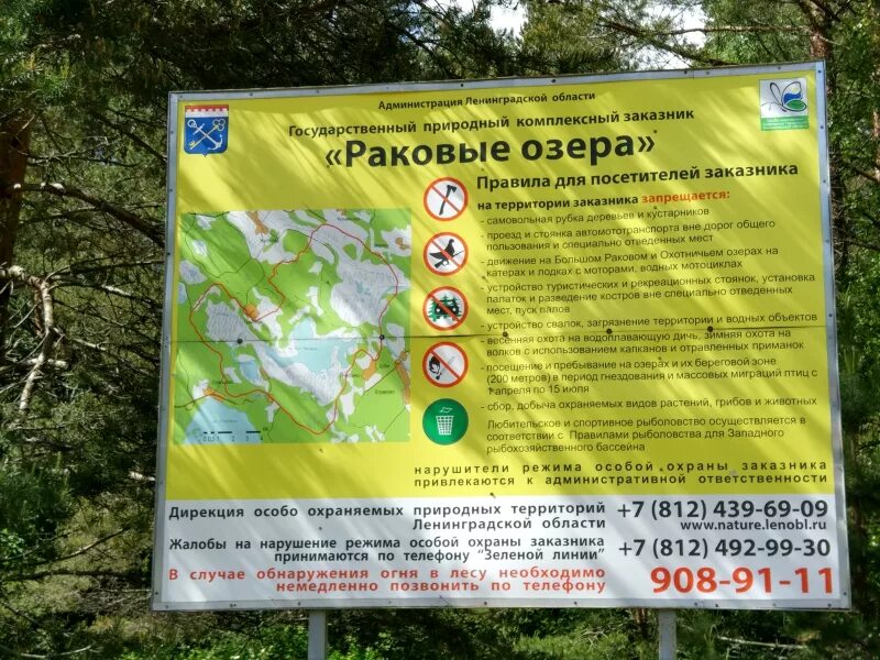 Заказник раковые озера. Раковые озера экотропа. Государственный природный заказник раковые озера. Государственный природный заказник раковые озера. Государственный природный заказник раковые озера.