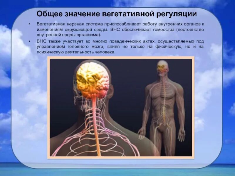 Какое общее значение