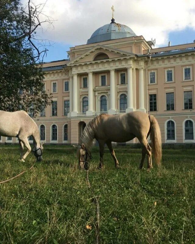 Конюшни санкт петербурга. Конюшня Академии художеств в Санкт-Петербурге. Двор Академии художеств в Санкт-Петербурге. Сад Академии художеств в Санкт-Петербурге конюшня. Сад Академии художеств на Васильевском острове.